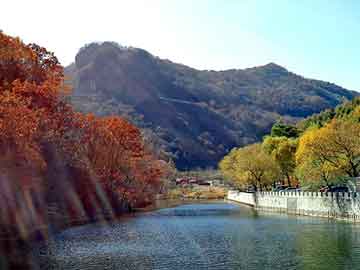 澳门天天免费精准大全，食堂快餐桌